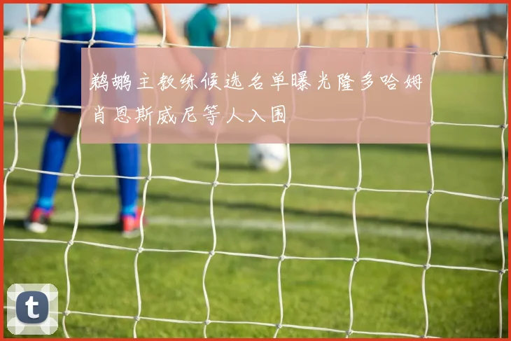 鹈鹕主教练候选名单曝光隆多哈姆肖恩斯威尼等人入围