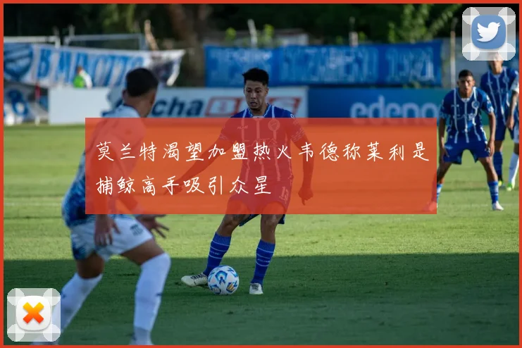 莫兰特渴望加盟热火韦德称莱利是捕鲸高手吸引众星