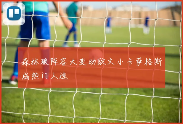 森林狼阵容大变动欧文小卡萨格斯成热门人选
